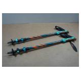 Noreast Hiking Poles