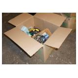 Electric Fans and Lights