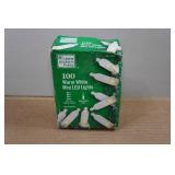 Home Accents Warm White Mini LED Lights