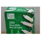 Home Accents Warm White Mini LED Lights