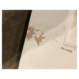 JELD-WEN 30 in. x 80 in. 6 Panel Colonist Primed Textured Molded Composite Interior Door Slab Damaged Customer Returns See Pictures