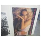 (BSB) Assorted Posters in 29 1/2" x...