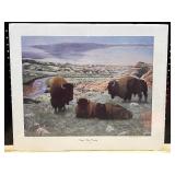 Unframed Print 24 x 19