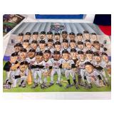 Minnesota Twins 2002 American League Central Champions Memorabilia including Framed & Autographed Sports Replay by Ron Gardenhire