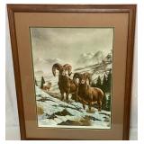 Two Framed Prints, Big Horn Sheep Rams & Wolf Print by Les Grundwald - Signed & Numbered