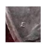 1922 & 1923-S Peace Dollars