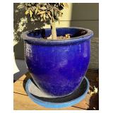 FY - Bright Blue Planter Pot with Saucer