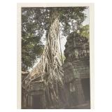O - Framed Print of Ancient Temple Ruins