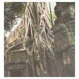 O - Framed Print of Ancient Temple Ruins