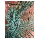LR - 56-Inch Artificial Palm Tree in Black Planter