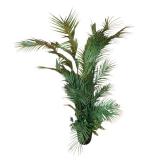 LR - 56-Inch Artificial Palm Tree in Black Planter