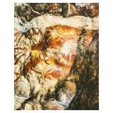 DR - Framed Photograph of Cave Wall Rock Art