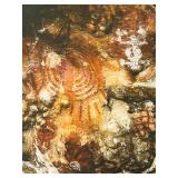 DR - Framed Photograph of Cave Wall Rock Art