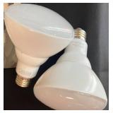 BR - Group of Assorted Light Bulbs