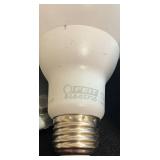 BR - Group of Assorted Light Bulbs