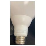 BR - Group of Assorted Light Bulbs