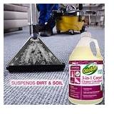 OdoBan Professional Series Cleaning 3-in-1 Carpet Cleaner Concentrate, 1 Gallon