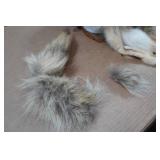 Davy Crockett Grey Fox Hat