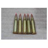 .17 WSM Magazine and 5 Rounds