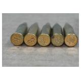 .17 WSM Magazine and 5 Rounds