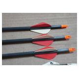 Carbon Fiber Arrows