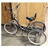 North Woods Black Adult Trike