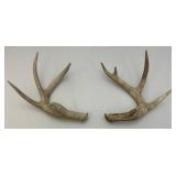 Misc. Fleece Blankets, Antlers And More