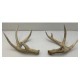 Misc. Fleece Blankets, Antlers And More