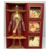 1959 Renwall Brand "The Visible Man" Model Kit Complete In Original Box