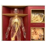 1959 Renwall Brand "The Visible Man" Model Kit Complete In Original Box