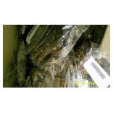 60+ Assorted Earrings New Fashion Jewelry Lot