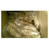 32 Necklaces New Fashion Jewelry Lot