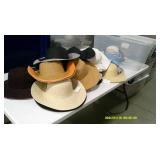 Hat Lot #1 35 hats with tote. NWT.