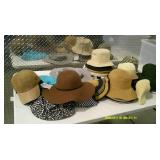 Hat Tote #2,  37 Asst. Hats NWT With Tote