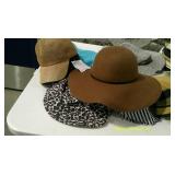 Hat Tote #2,  37 Asst. Hats NWT With Tote