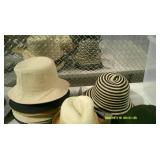 Hat Tote #2,  37 Asst. Hats NWT With Tote