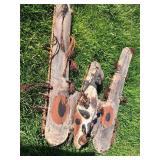 Important Old Papua New Guinea Sepik River Tribal Used Canoe Prow Shield