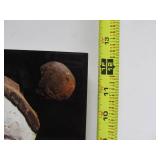 2 Large Excellent African Art Book Box Sets - New Guinea Art: Masterpieces from the Jolika Collection & Oceanic Art