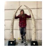 Pair of HUGE Monumental Carved Bone Elephant Tusk Sculptures