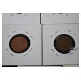 Indian Head Cents - Assorted Dates Collection