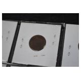 Indian Head Cent Coins - 12-Coin Card Flip Lot (1899-1908)