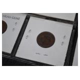 Indian Head Cent Coins - 12-Coin Card Flip Lot (1899-1908)