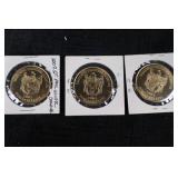 Coin - 2002 St. Paul Winter Carnival Medallions (3 coins)