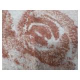 Avanti Home Rug 24 x 27"...