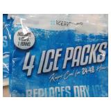 4 Everlasting Ice RX 4 Ice Pack Pkg...