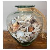 DR - Fabio Viviani Toscana Glass Vase Filled with Assorted Seashells, Starfish and More