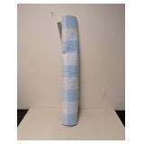 NEW ROOM ESSENTIALS AREA RUG (BLUE GINGHAM)