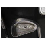 Callaway Golf Bag with 5 Mixed Irons Including Ping Eye2 and King Cobra Oversize