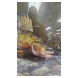 Mark Susinno Print as Pictured