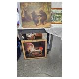 Bear Picture and Nanoel Picture